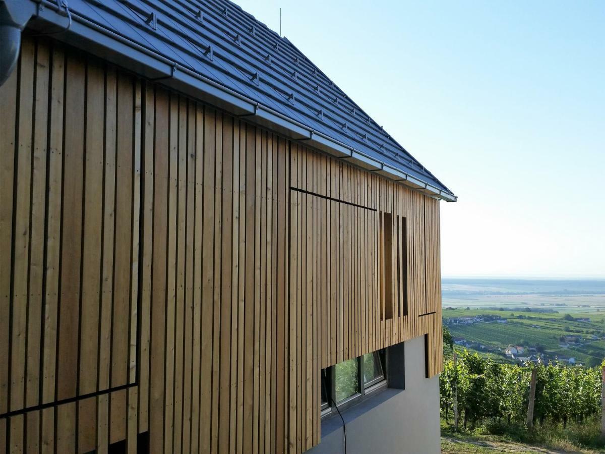 Weinlofts Weinloft II Villa Eisenberg an der Pinka Exterior photo